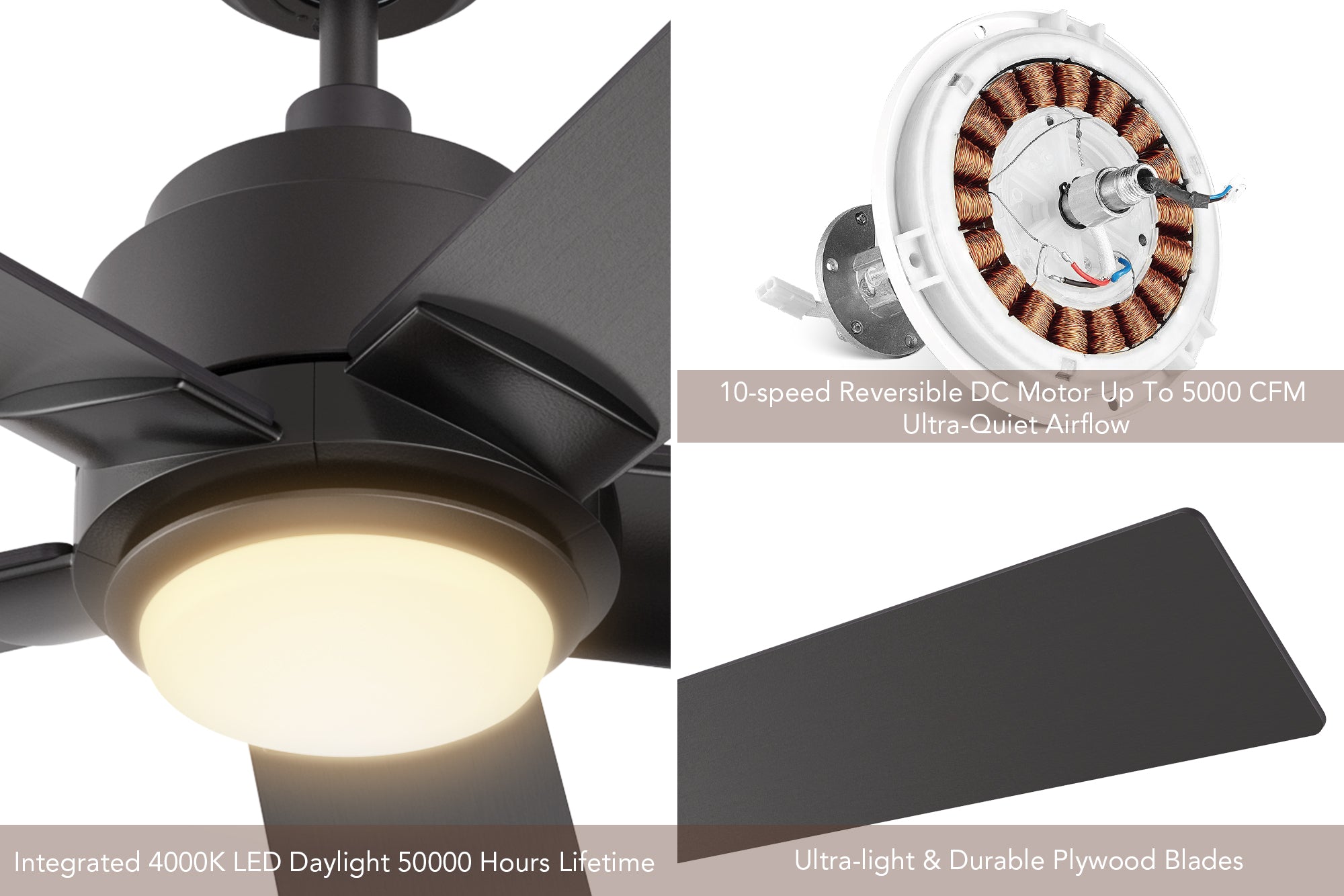 Aspen 60 inch smart ceiling fan in black with LED light and remote, featuring with 10-speed reversible DC motor and 1500 lumens of brightness.