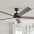 Close-up of the Aspen smart ceiling fan with a 60-inch span, black blades, LED light, remote, and a wall switch for convenient control. 