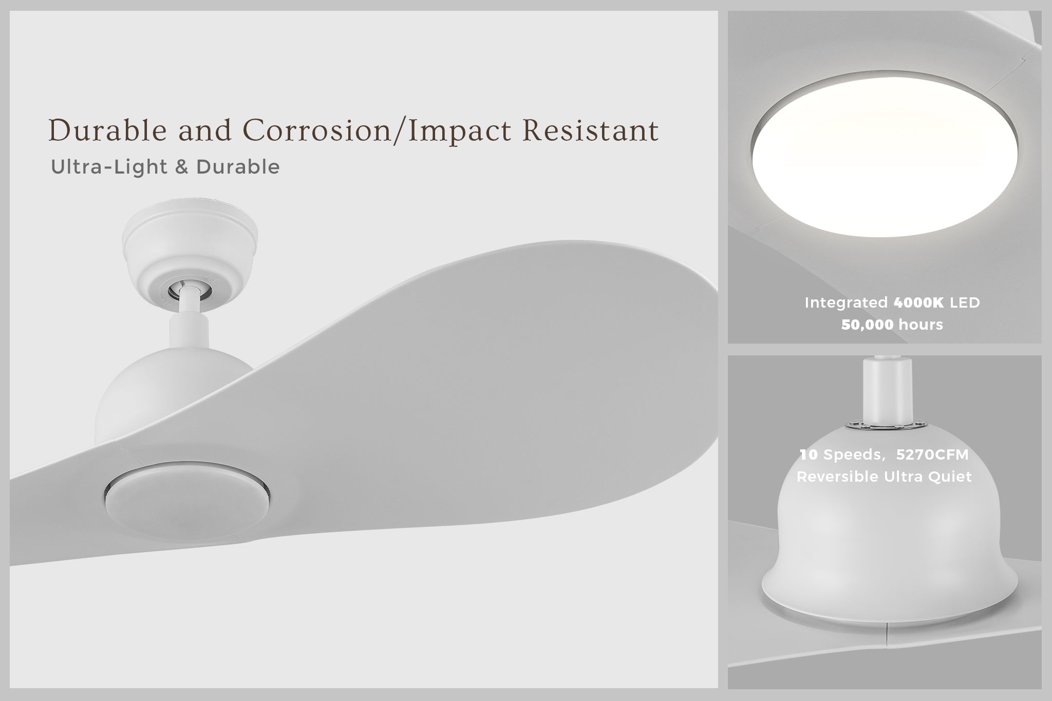 Azure DC motor ceiling fan with LED light and 10-speed setting, designed for durability and corrosion resistance. 