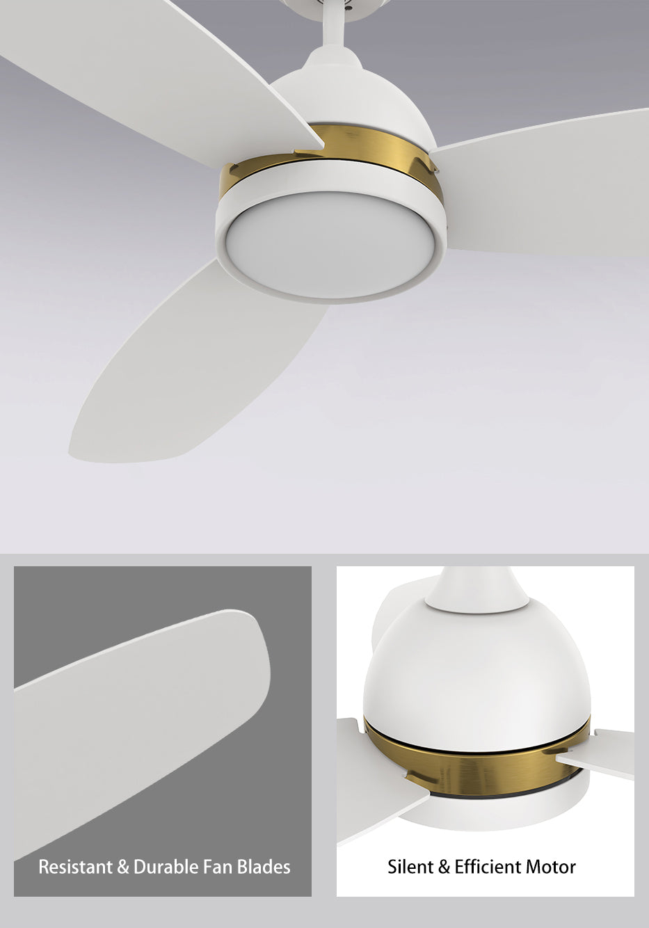 Carro-Smafan-Biscay-48”-Indoor-Outdoor-Smart-Ceiling-Fan-with-Finest-Material-Superior-Design