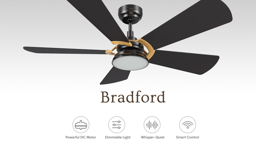 Carro-Smafan-Bradford-52''-Outdoor-Smart-Ceiling-Fan-with-Dimmable-LED-Light-Kit