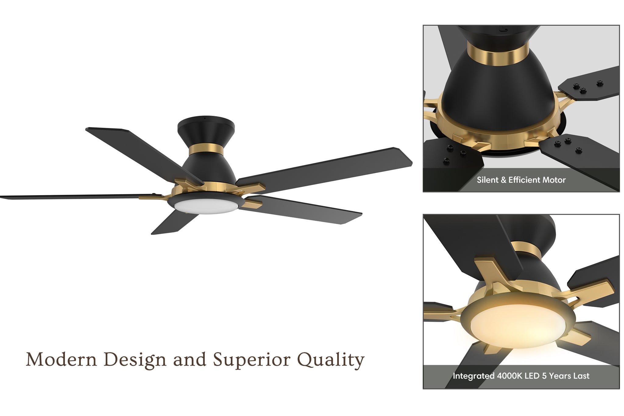 Carro-Smafan-Essex-10-speed-Ceiling-Fan-with-Remote-and-Reversible-Fan-Blades-brilliant-upscale-design-good-Reliable-Finest-Material