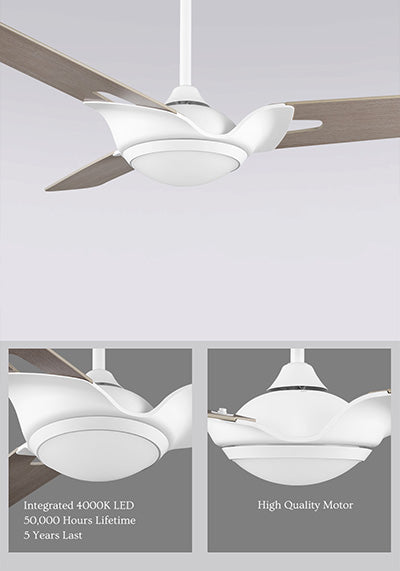 Carro-Smafan-Innovator52''-10-speed-Ceiling-Fan-with-Remote-and-Reversible-Fan-Blades-brilliant-upscale-design-good-Reliable-Finest-Material-mobile