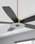 Carro Striker 52inch outdoor smart ceiling fan with LED light kit, gold base with black blades. 
