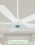 Striker Outdoor 52'' Smart Ceiling Fan with LED Light Kit-White base with light wood grain blades. 