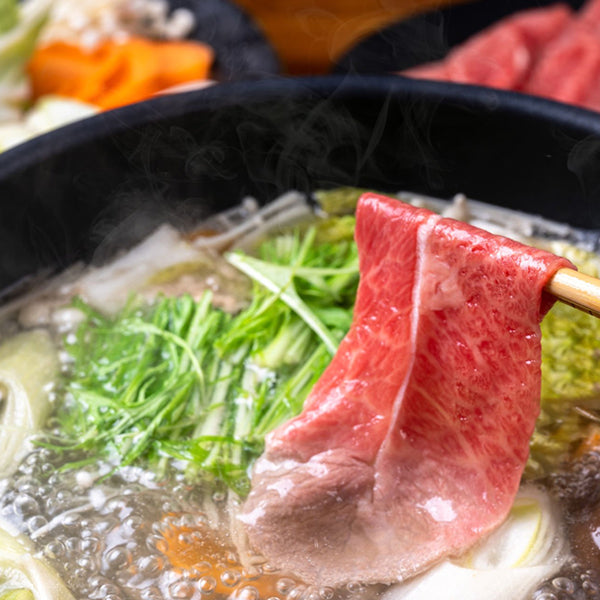 Hot pot function for 11" portable induction cooktop
