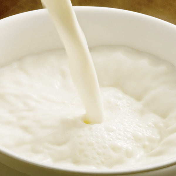 Milk function for 11" portable induction cooktop