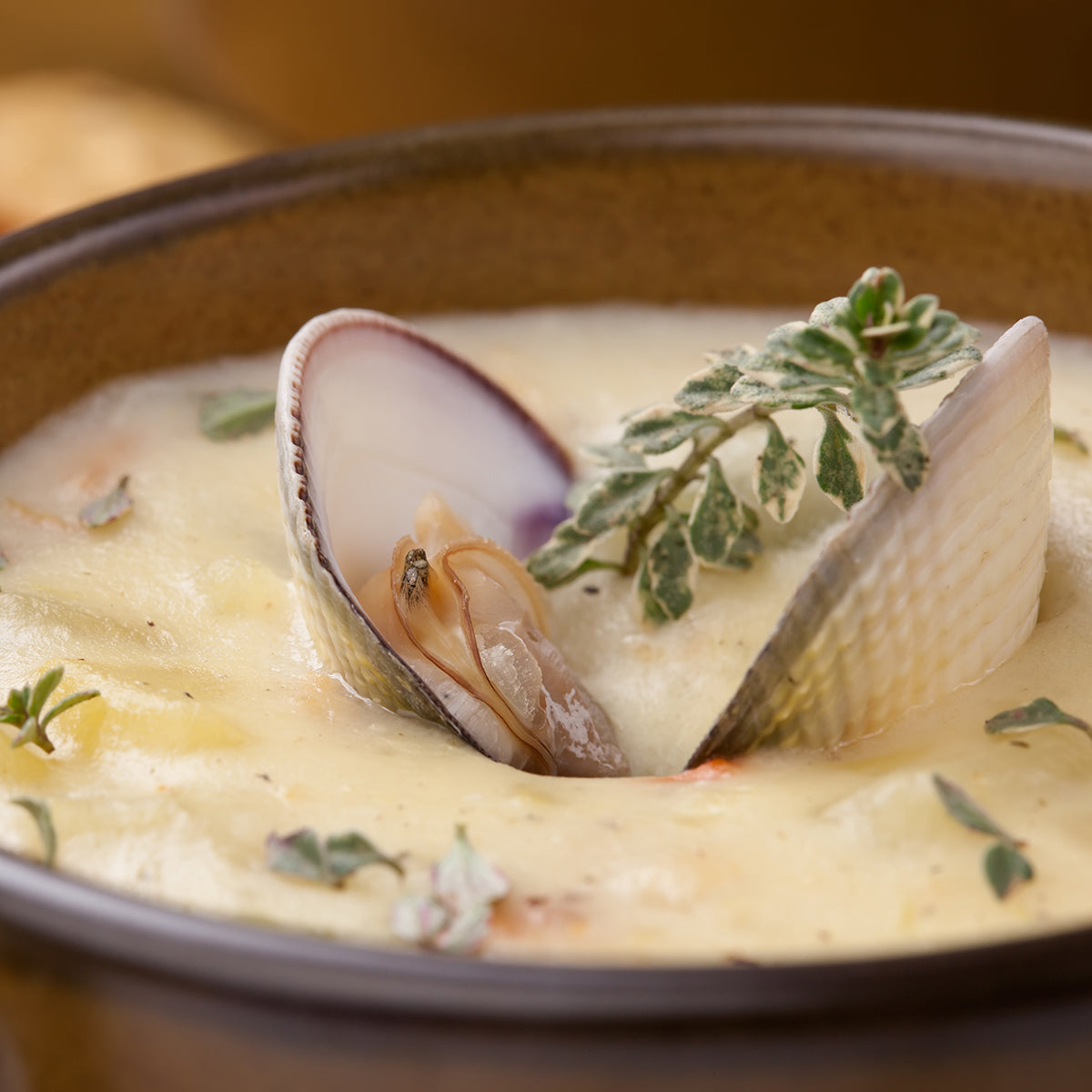 Soup function for 11" portable induction cooktop