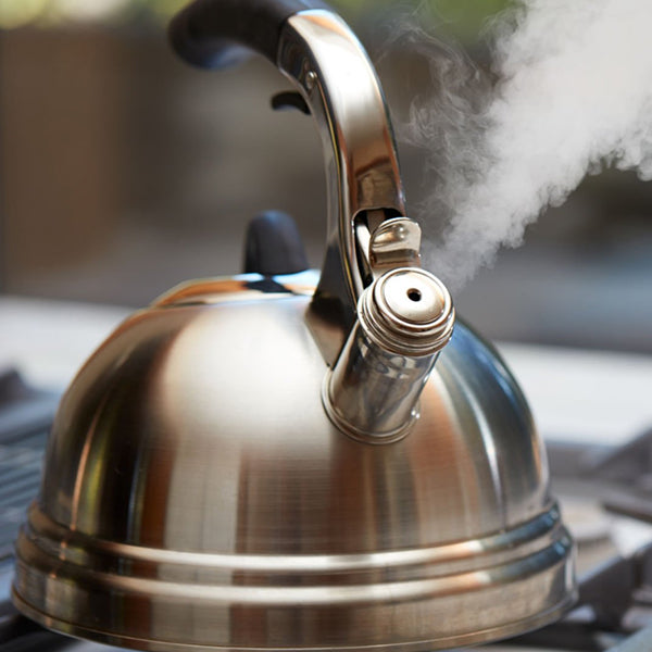 Water function for 11" portable induction cooktop