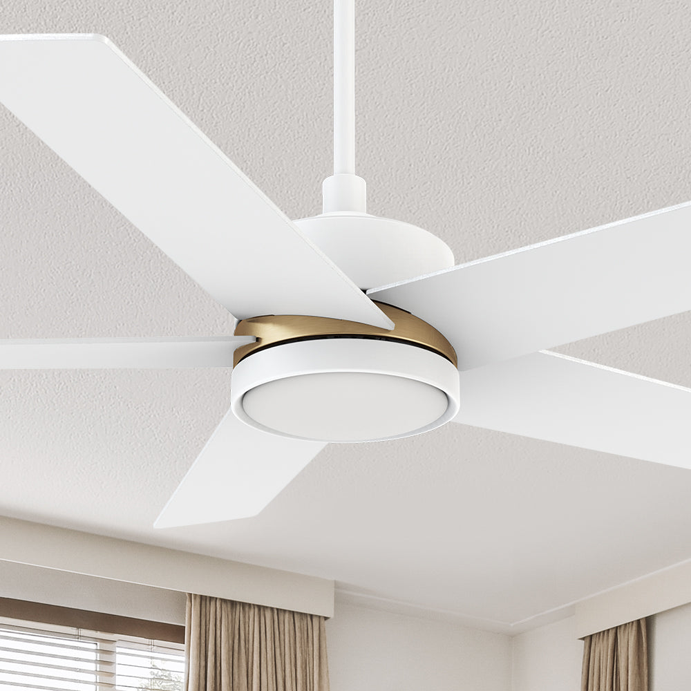 Carro Lakeland 52 inch smart ceiling fan with light, design with white finish, elegant plywood blades and an integrated 4000K LED cool light. 