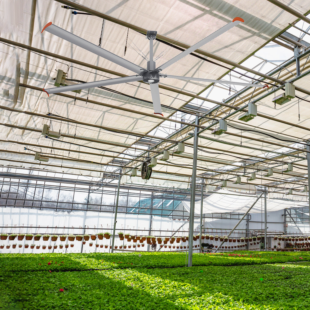 Makani 14ft industrial HVLS ceiling fan in an agricultural setting, promoting airflow in a large greenhouse or barn to maintain optimal conditions for plants or livestock. 