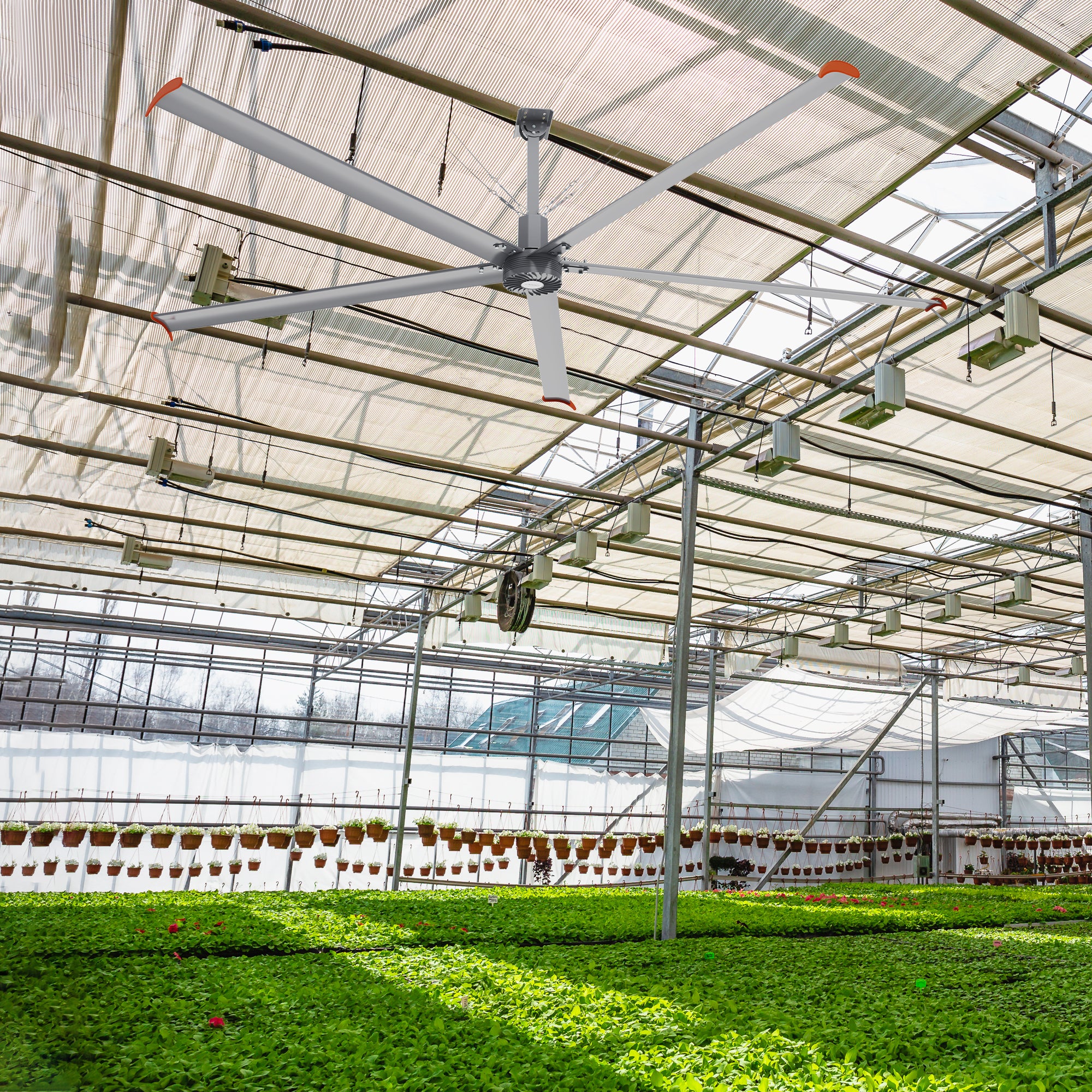 Makani 14ft industrial HVLS ceiling fan in an agricultural setting, promoting airflow in a large greenhouse or barn to maintain optimal conditions for plants or livestock. 