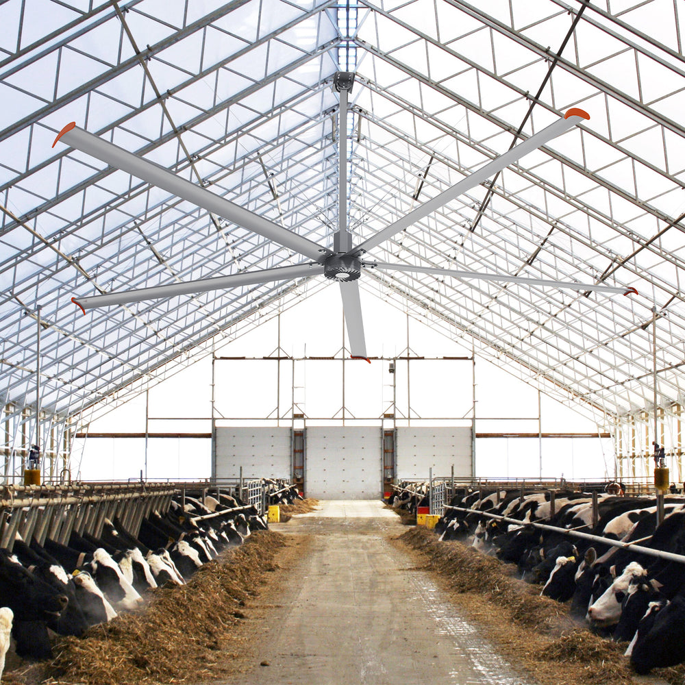 Makani 16ft industrial HVLS ceiling fan in an agricultural setting, powered by 240V, providing superior ventilation in a large barn or greenhouse to support healthy plant growth or livestock well-being. 