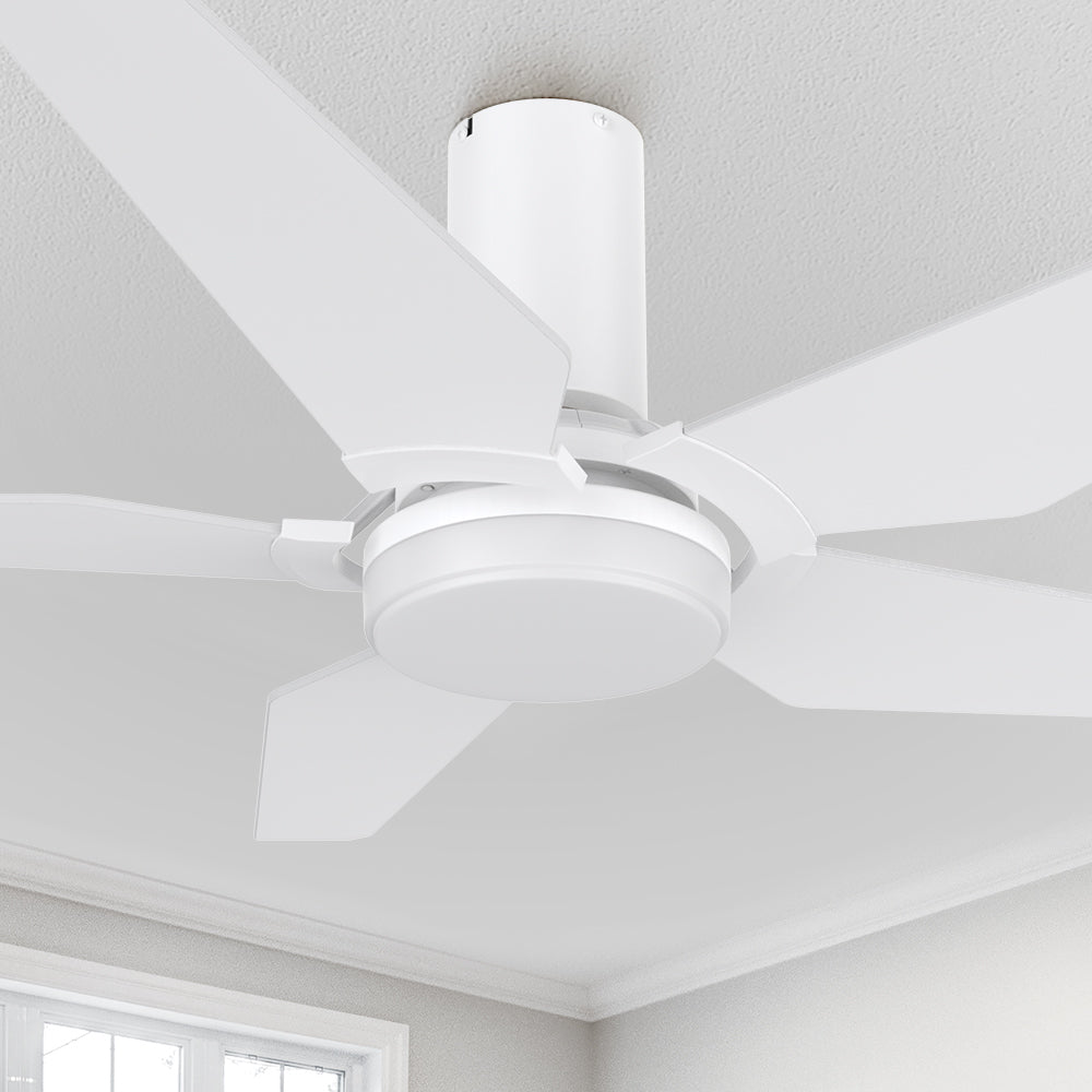 Maclean 48&quot; Ceiling Fan with Remote and Light Kit Included. 