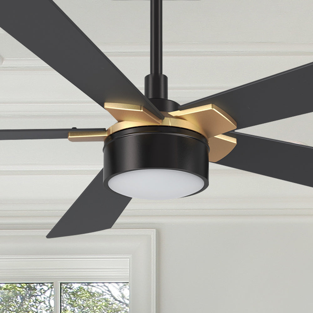 Carro Brescia 52 inch smart ceiling fan with black finish, elegant Plywood blades and integrated 4000K LED cool light. 