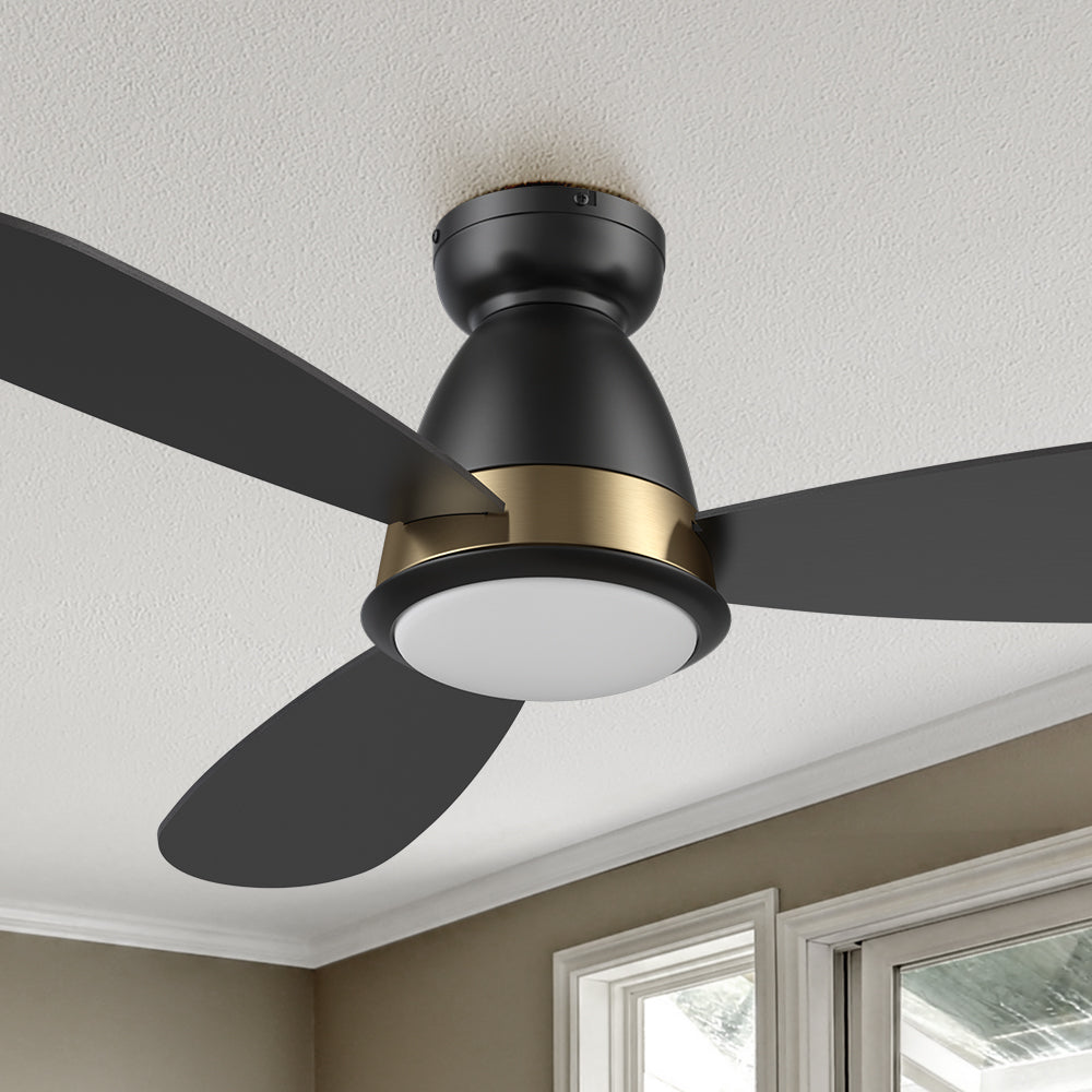 Carro Fayette 52 inch smart ceiling fan with light, flush mount design, black and gold finish, elegant Plywood blades and integrated 4K LED daylight. 