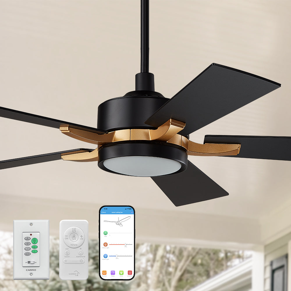 Smafan Apex 56 inch smart outdoor ceiling fans design with remote and wall switch, use elegant Plywood blades and has an integrated 4000K LED daylight. 