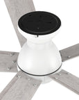 Carro Armoy 52 inch flush mount remote control ceiling fan with 10-Speed reversible whisper quiet DC motor. 