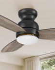 Carro Arran 44 inch modern ceiling fan with lights, a sleek silhouette, elegant blades, and a timeless black finish. 