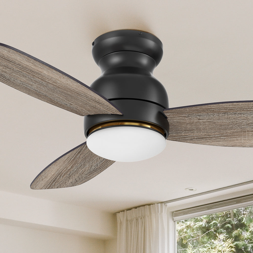 Carro Arran 48 inch modern ceiling fan with lights, a sleek silhouette, elegant blades, and a timeless black finish. 