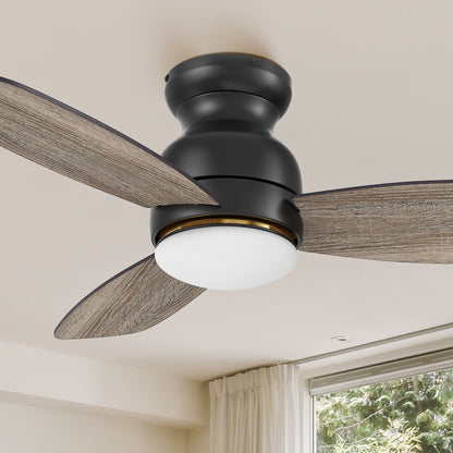 Carro Arran 60 inch modern ceiling fan with lights, a sleek silhouette, elegant blades, and a timeless black finish. 