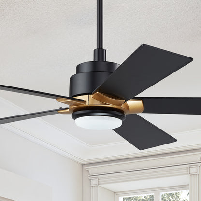 Carro Aspen outdoor ceiling fan with 5 black blades and an extended 6-in rod, Installed in the indoor living space. 