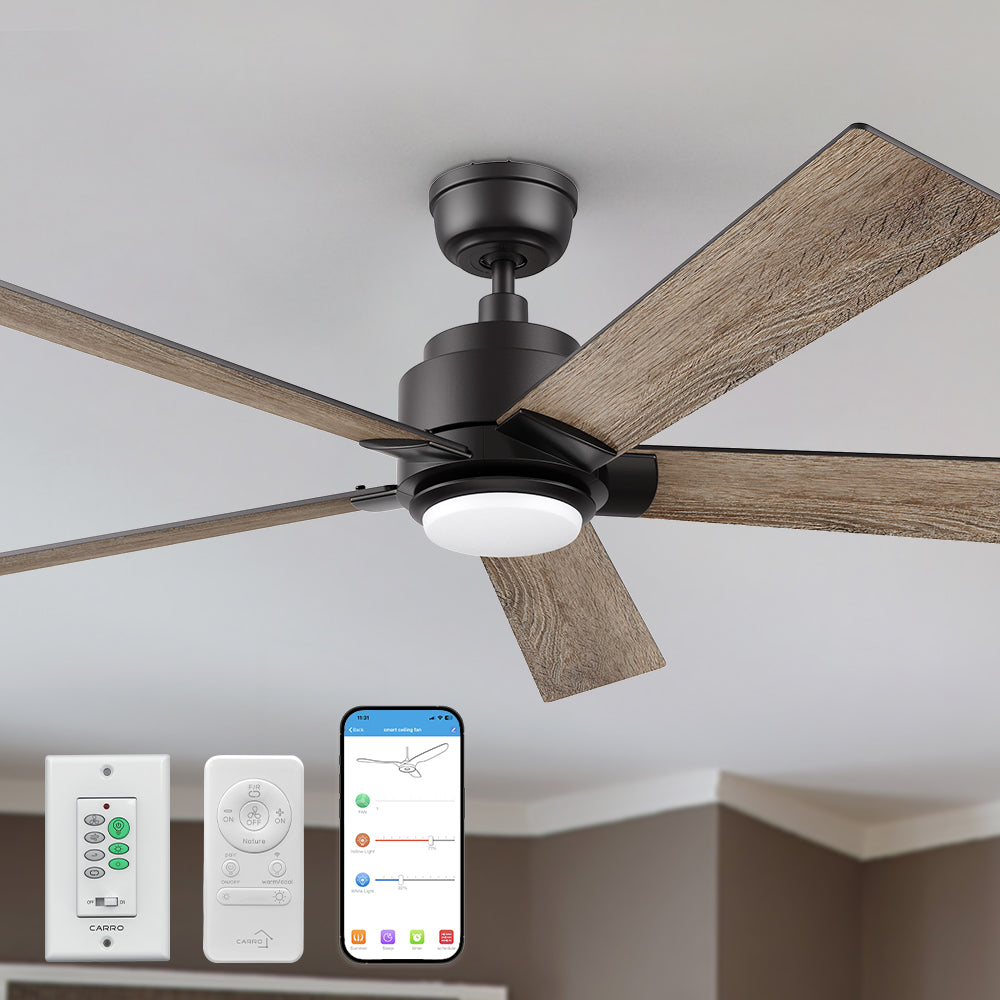 Carro Aspen 56 inch smart ceiling fan with remote and wall switch control, use elegant Plywood blades and has an integrated 4000K LED cool light. 