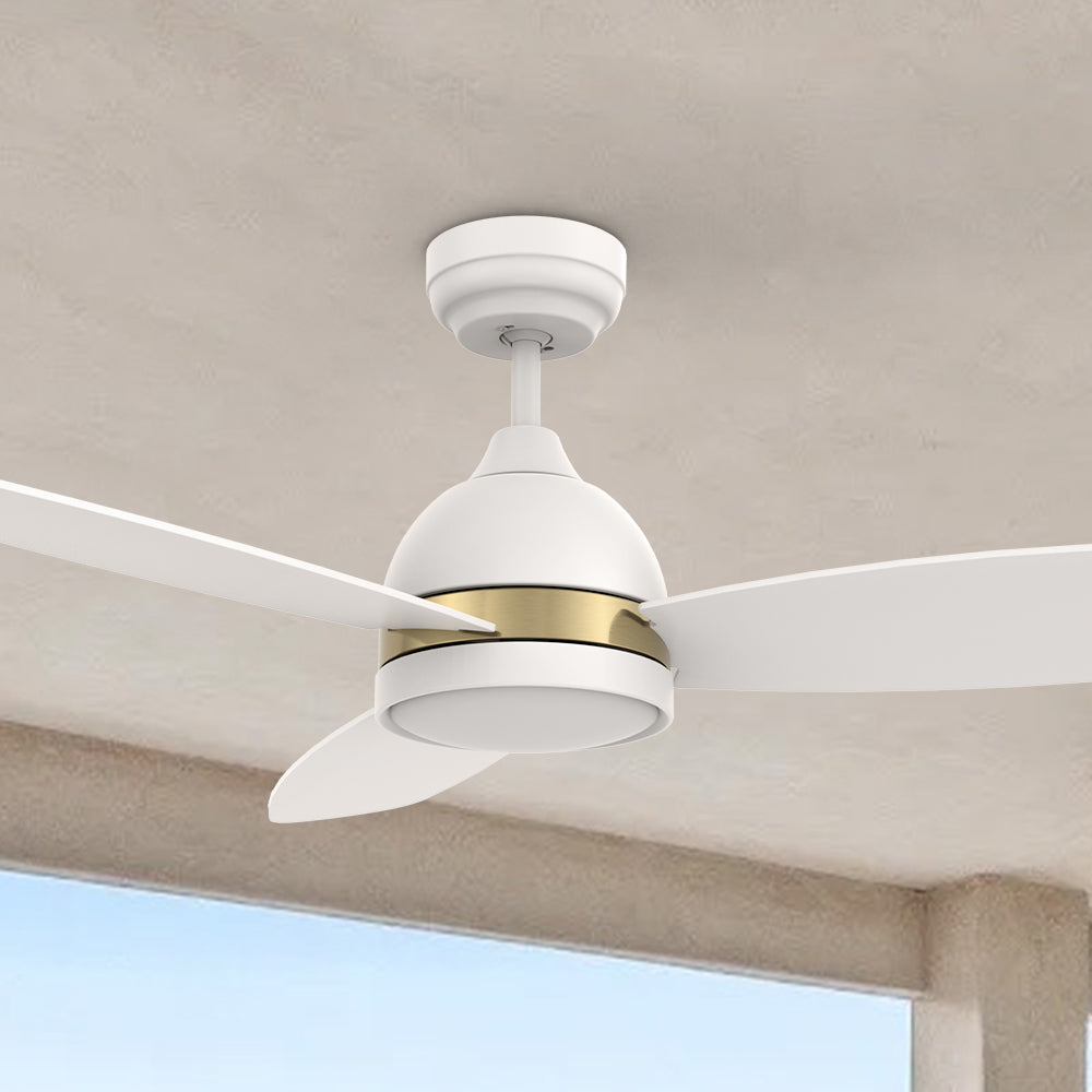 Carro Biscay 48 inch smart outdoor ceiling fan design with White finish, elegant Plywood blades and has an integrated 4000K LED daylight. 