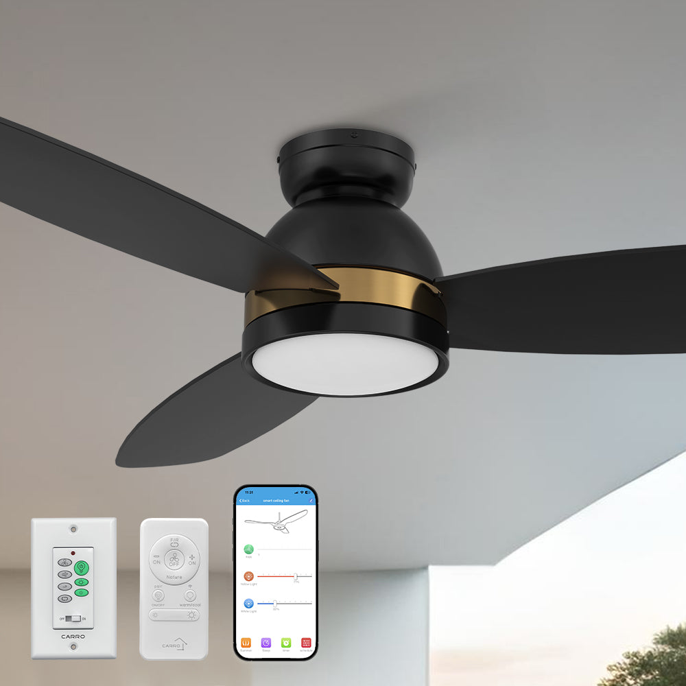 Carro Biscay 48 inch smart outdoor ceiling fan with wall switch and remote, designed with black and gold finish, elegant plywood blades and integrated 4000K LED daylight. 