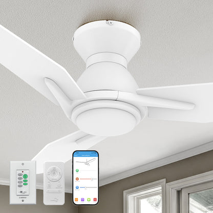 Carro Smafan Brooks 48 inch smart ceiling fans remote and wall control, use elegant Plywood blades and has an integrated 4000K LED daylight.