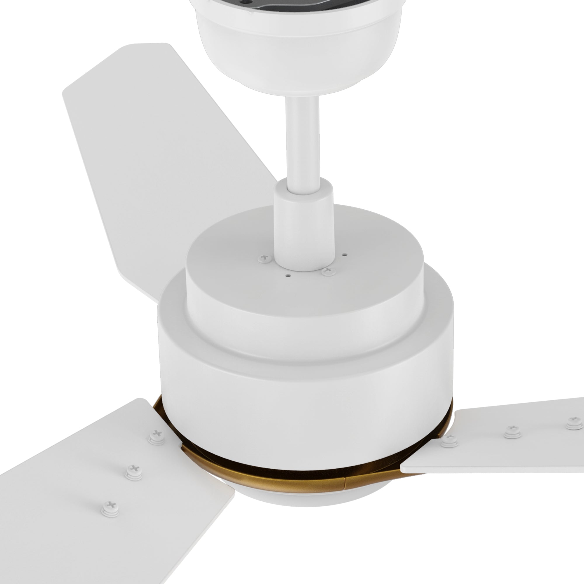 Close-up view of a white ceiling fan with gold accents, focusing on the motor housing and blade attachment. The fan blades are securely fastened with screws, and the design highlights a modern, minimalist style with a smooth white finish and a gold trim around the base. 