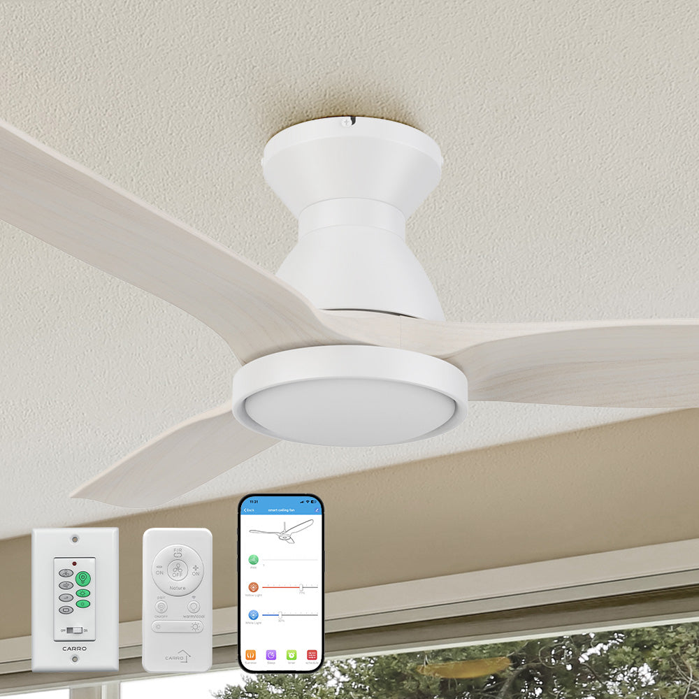 An image of a Smafan Carro Colmar2 52-inch Flush Mount Smart Outdoor Ceiling Fan with light, featuring light wood blades, mounted on a beige ceiling for efficient airflow and cooling. The ceiling fan is shown with a Carro white wall switch, a handheld remote, and a smartphone displaying a control app, highlighting smart operation for customizable lighting and cooling in outdoor settings. 