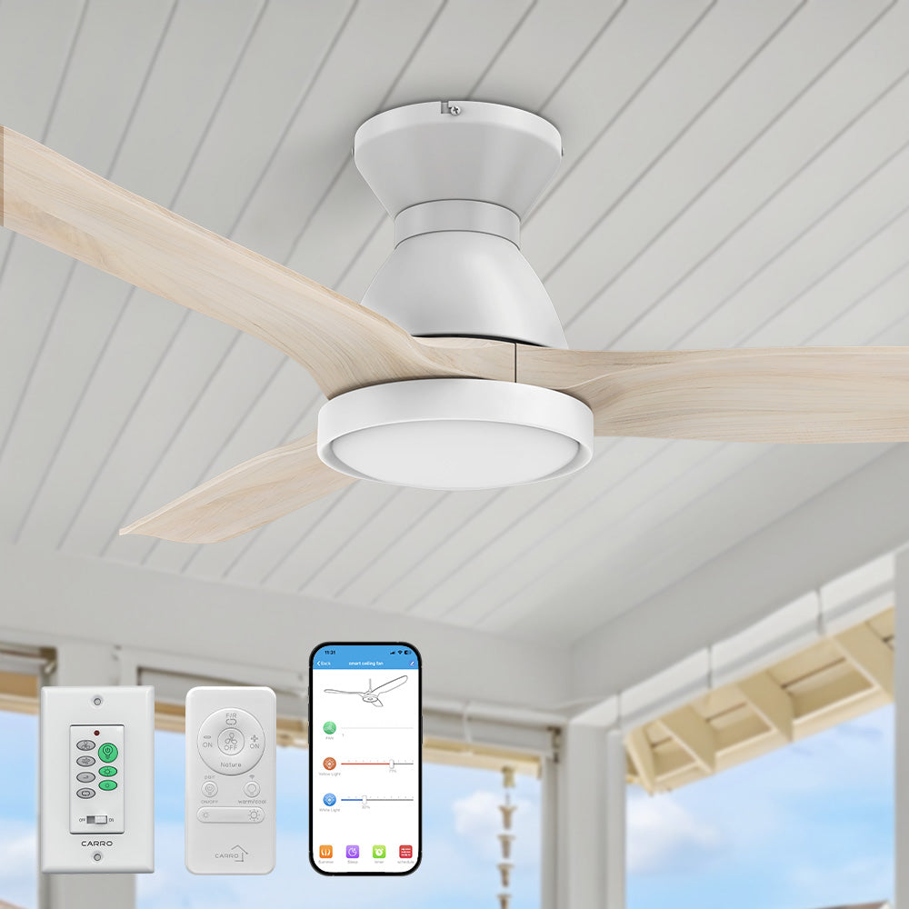 An image of a Smafan Carro Colmar2 52-inch Flush Mount Smart Outdoor Ceiling Fan with light, featuring light wood blades, mounted on a beige ceiling for efficient airflow and cooling. The ceiling fan is shown with a Carro white wall switch, a handheld remote, and a smartphone displaying a control app, highlighting smart operation for customizable lighting and cooling in outdoor settings. 