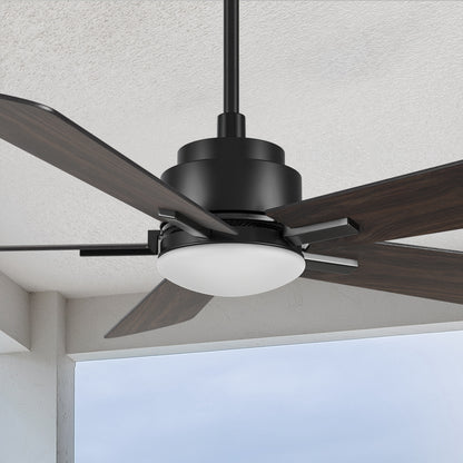 Carro Elgin 52 inch smart outdoor ceiling fan with light designed with Black finish, elegant Plywood blades and integrated 4000K LED cool light. 