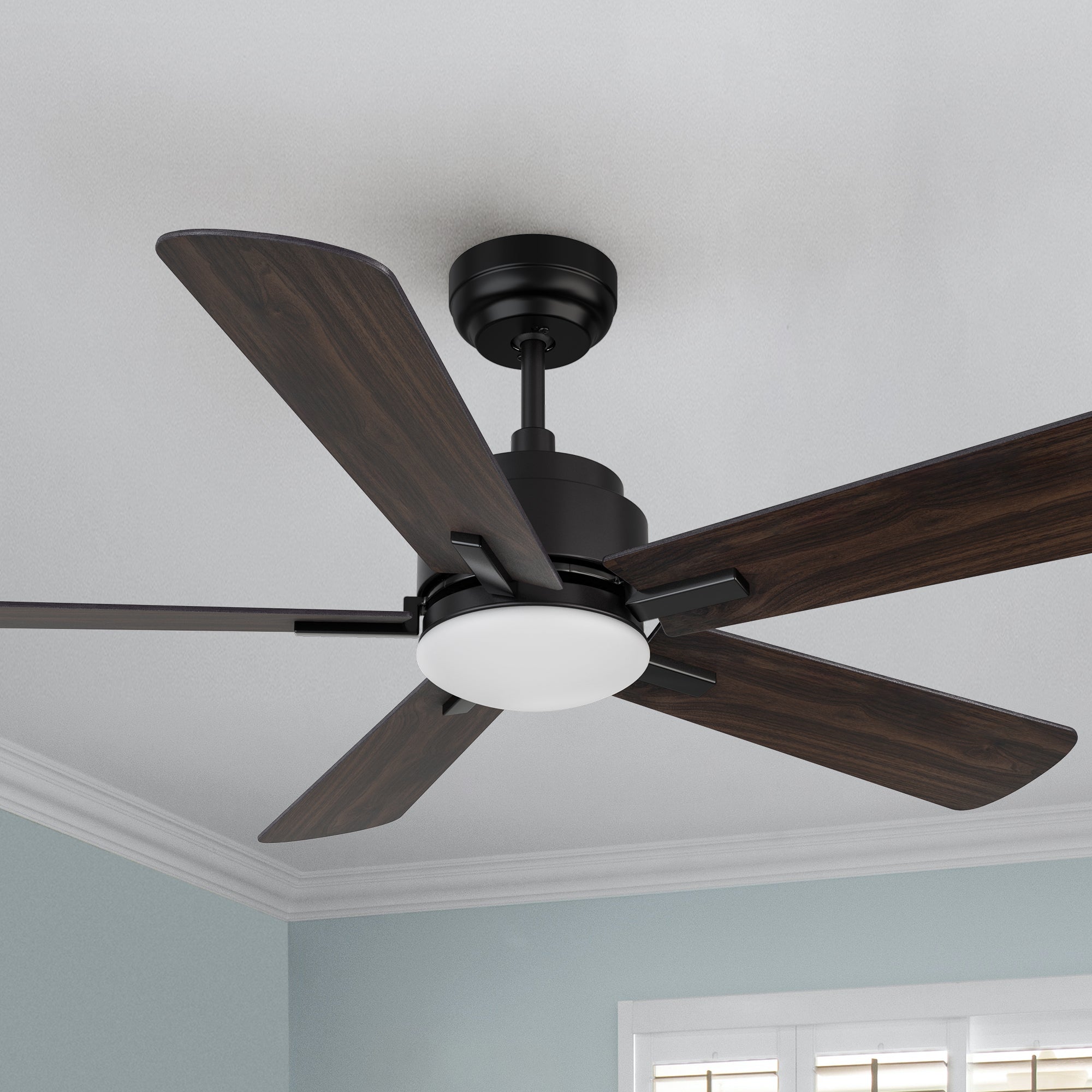 Carro Elgin 52 inch smart outdoor ceiling fan with light designed with Black finish, elegant Plywood blades and integrated 4000K LED cool light. 