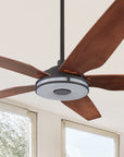 Explorer Outdoor 52" Smart Ceiling Fan with LED Light Kit