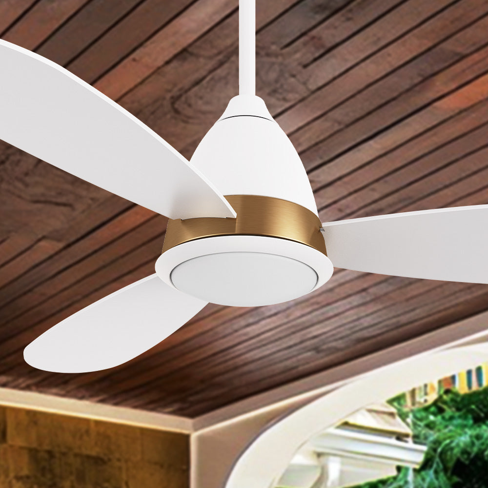 Carro Fayette 52 inch smart ceiling fan with light design with white and gold finish, elegant Plywood blades and integrated 4K LED daylight. 