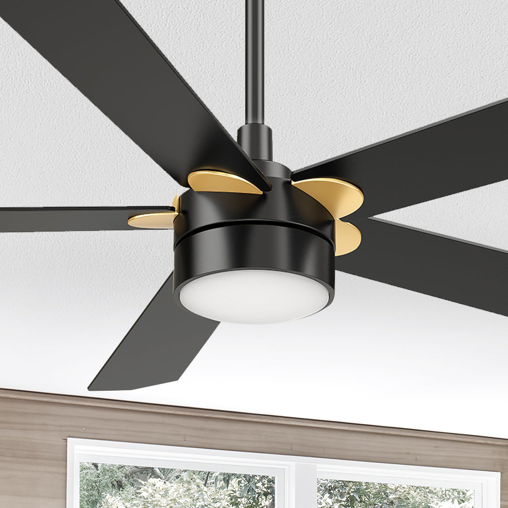 Carro Granby 52 inch smart outdoor ceiling fan with light, black and gold finish, elegant plywood blades and has an integrated 4000K LED daylight. 