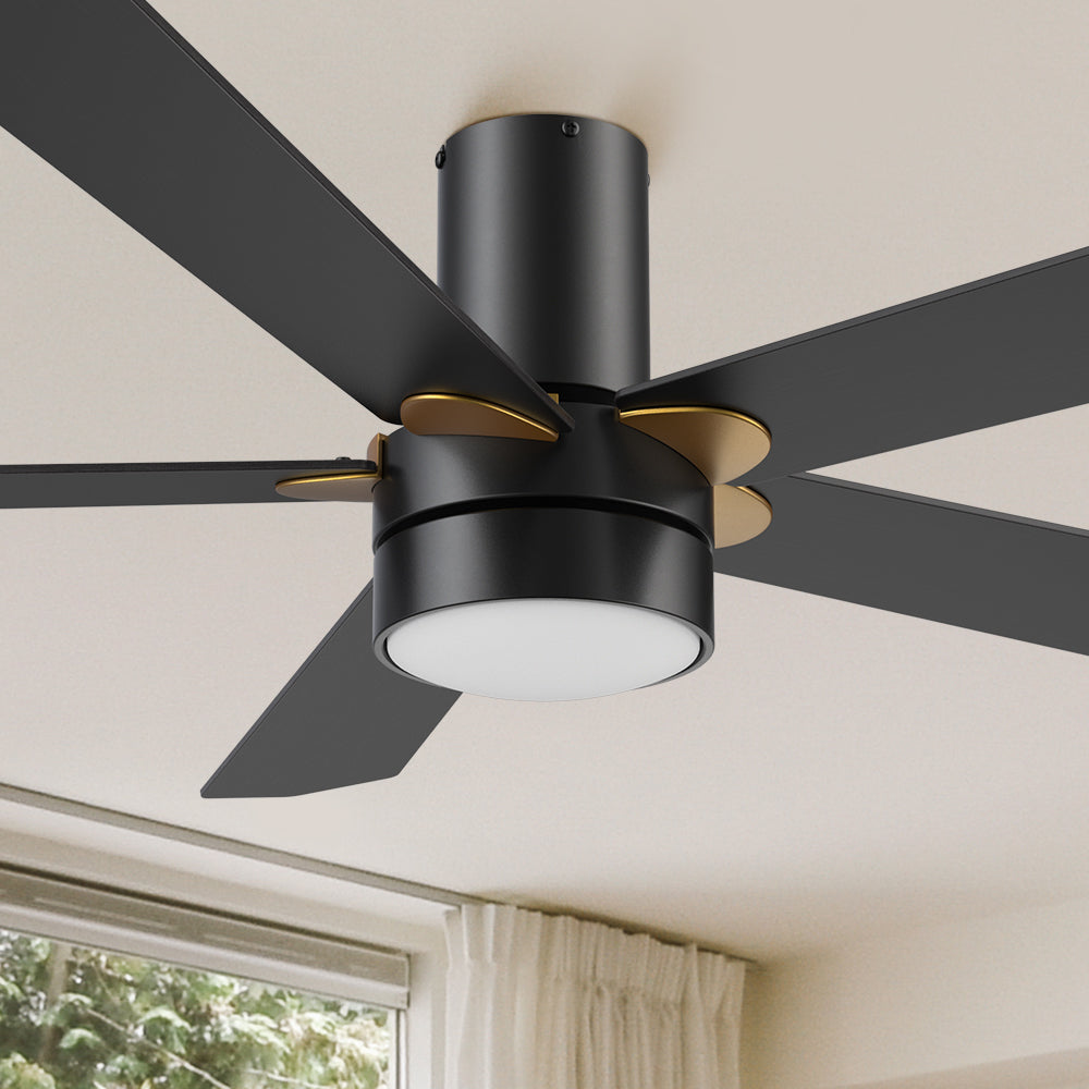 Carro Harlem 52 inch smart outdoor ceiling fan with Black finish, elegant Plywood blades and integrated 4000K LED cool light.