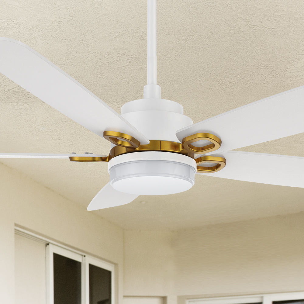 Carro Havre 52 inch smart ceiling fan designed with White finish, elegant Plywood blades and integrated 4000K LED cool light. 