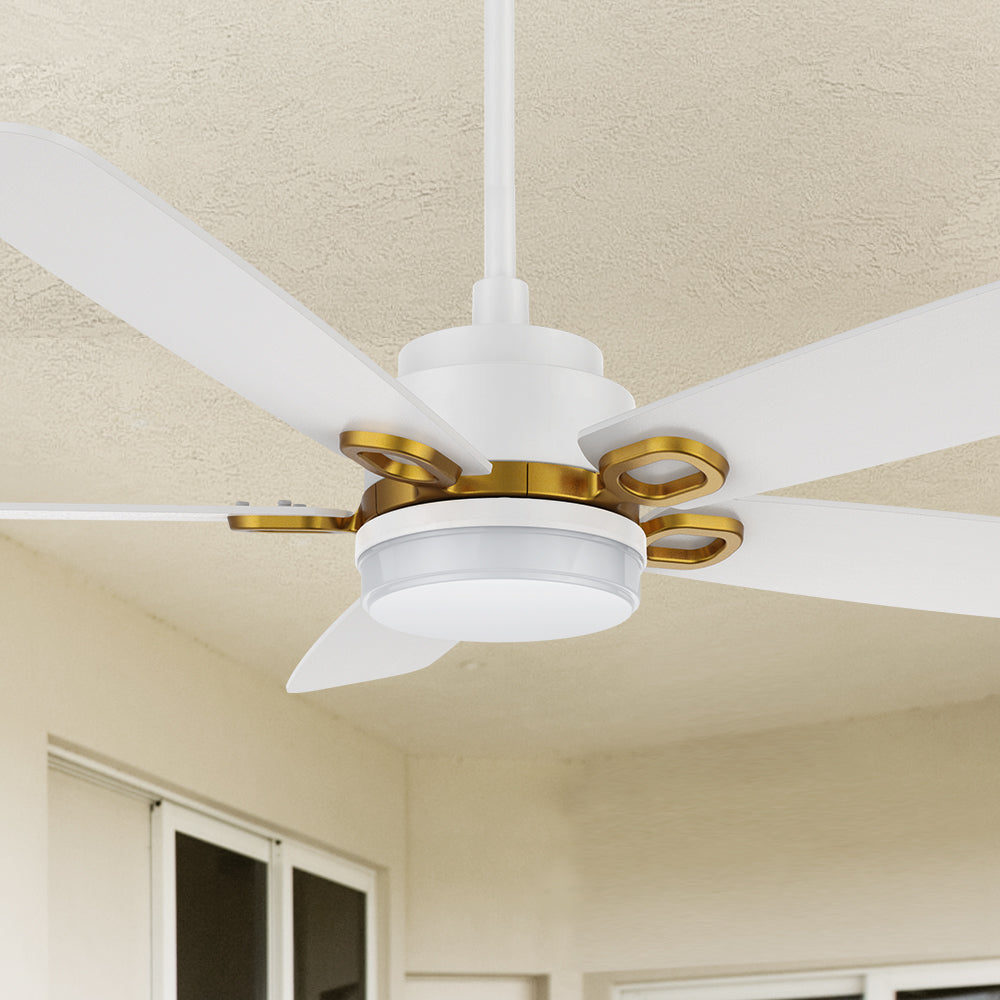 Carro Havre 52 inch smart ceiling fan designed with White finish, elegant Plywood blades and integrated 4000K LED cool light. #color_white-gold