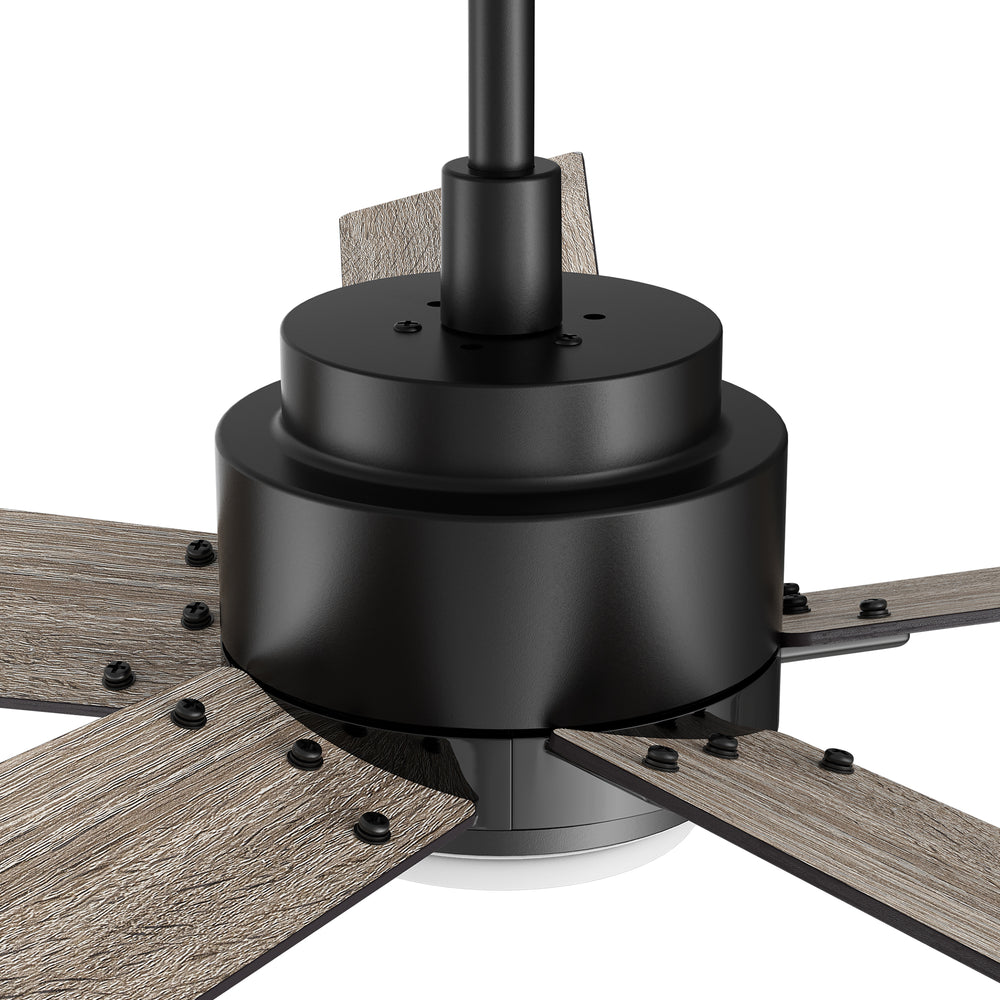 Carro Kalmar 60 inch remote control ceiling fan design with whisper-quiet 10-speed DC motor. 