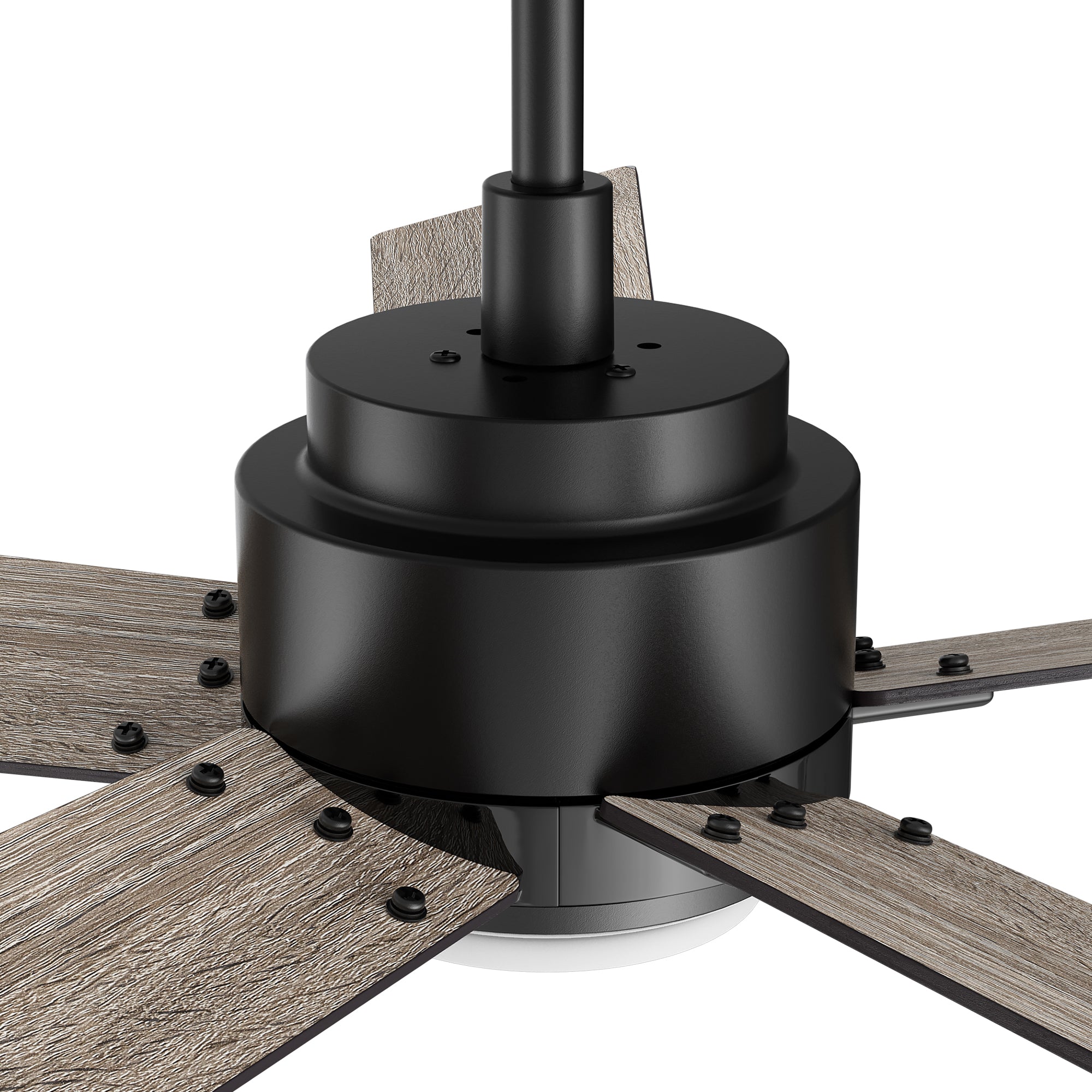 Carro Kalmar 60 inch remote control ceiling fan design with whisper-quiet 10-speed DC motor. 