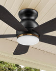 Carro Kaze 48 inch smart ceiling fan designed with Black finish, use elegant Plywood blades and has an integrated 4000K LED daylight.