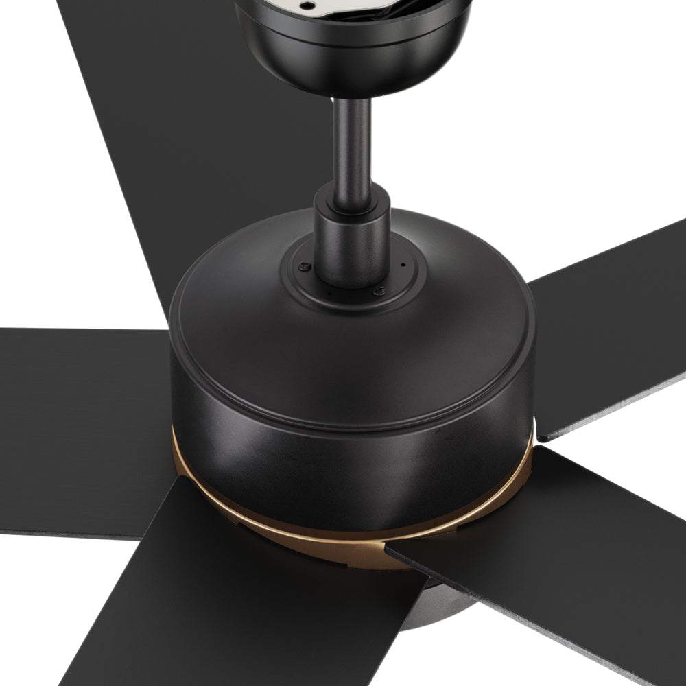 Carro Lakeland 52 inch smart outdoor ceiling fan with 10 speed whisper-quiet dc motor and reversible fan blades. 