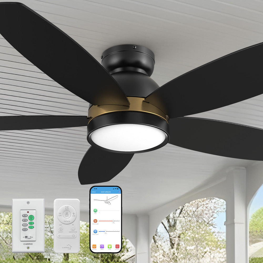 Carro Levi 48 inch smart ceiling outdoor ceiling fan features Remote control, Wall control, Wi-Fi apps, Siri Shortcut and Voice control technology. 