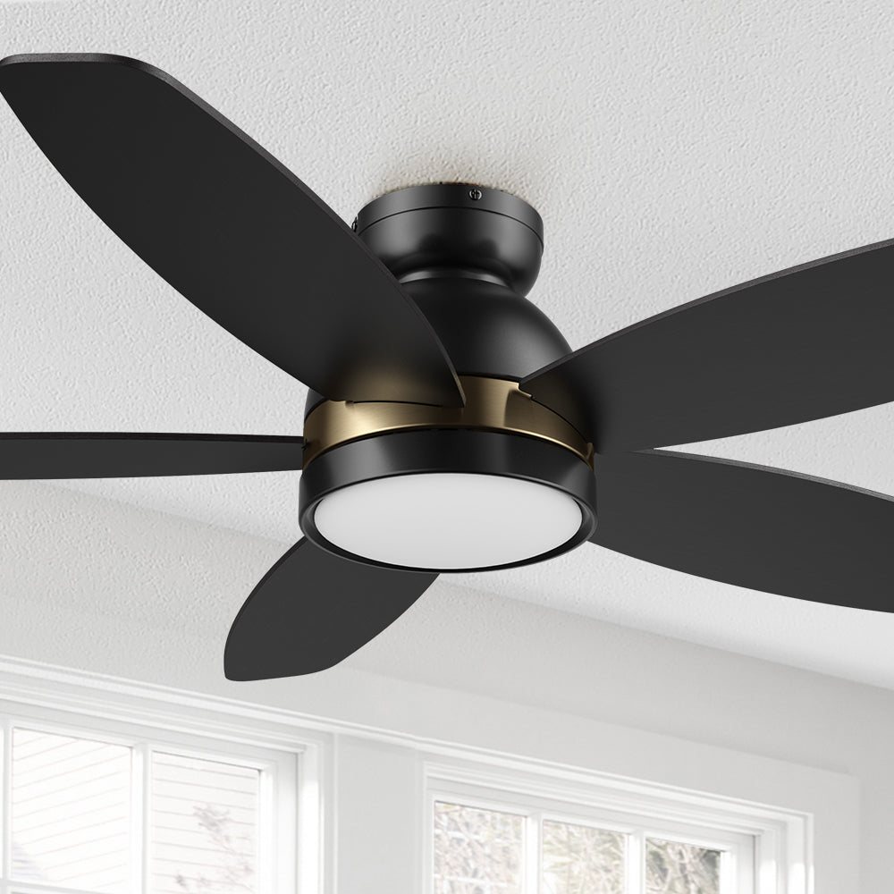 Carro Levi 48 inch smart ceiling outdoor ceiling fan features Remote control, Wi-Fi apps, Siri Shortcut and Voice control technology. #color_Black