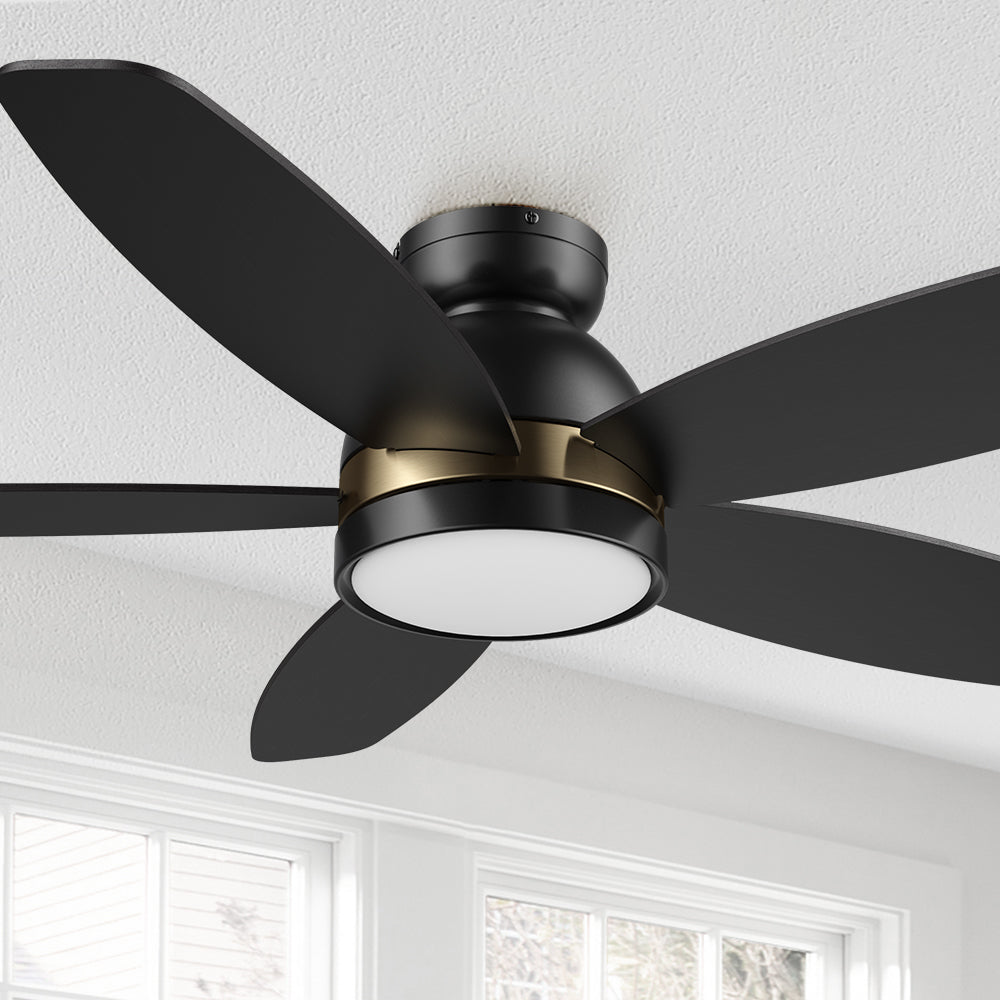 Carro Levi 48 inch smart ceiling outdoor ceiling fan features Remote control, Wi-Fi apps, Siri Shortcut and Voice control technology. #color_black