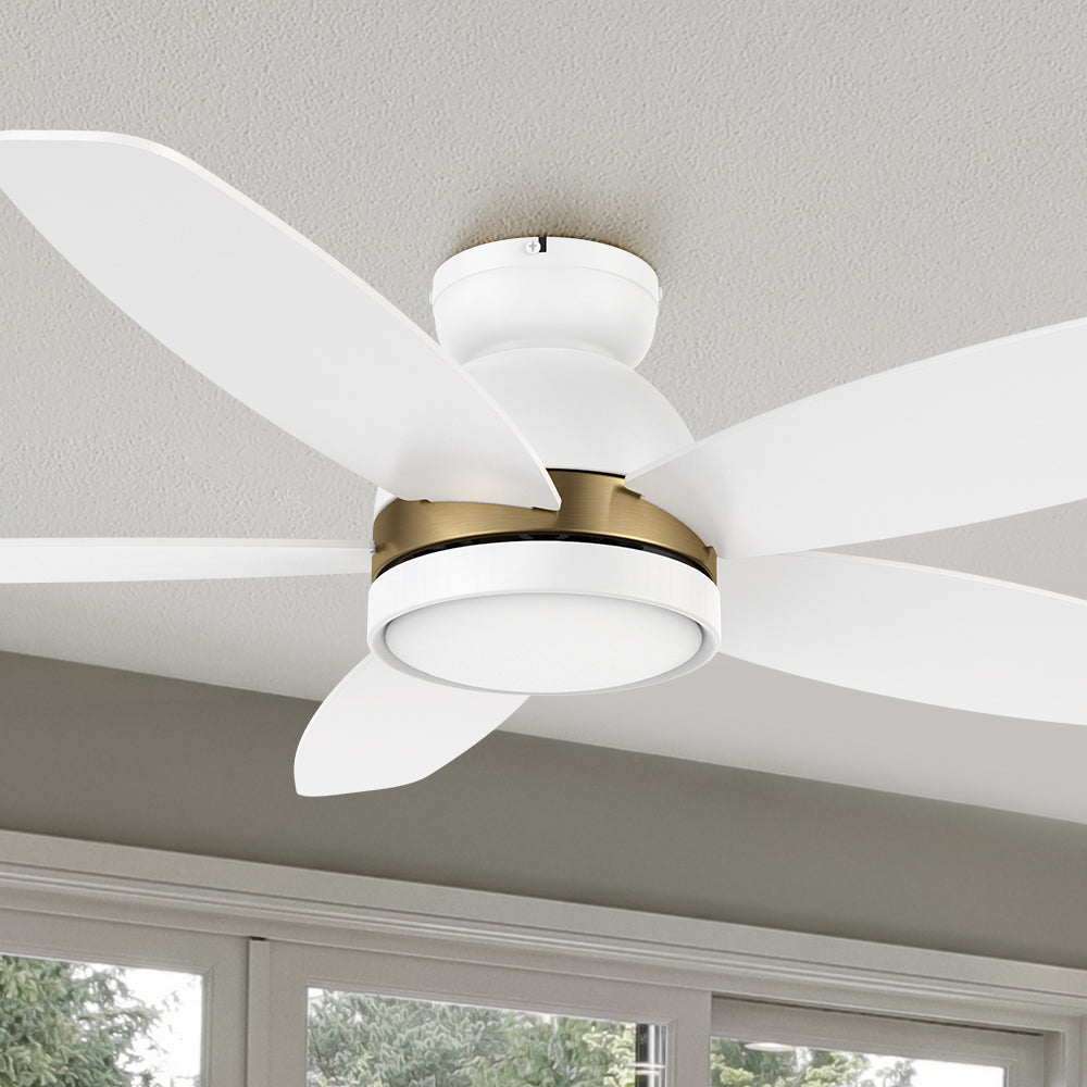 Carro Levi 48 inch smart ceiling outdoor ceiling fan features Remote control, Wi-Fi apps, Siri Shortcut and Voice control technology. #color_White