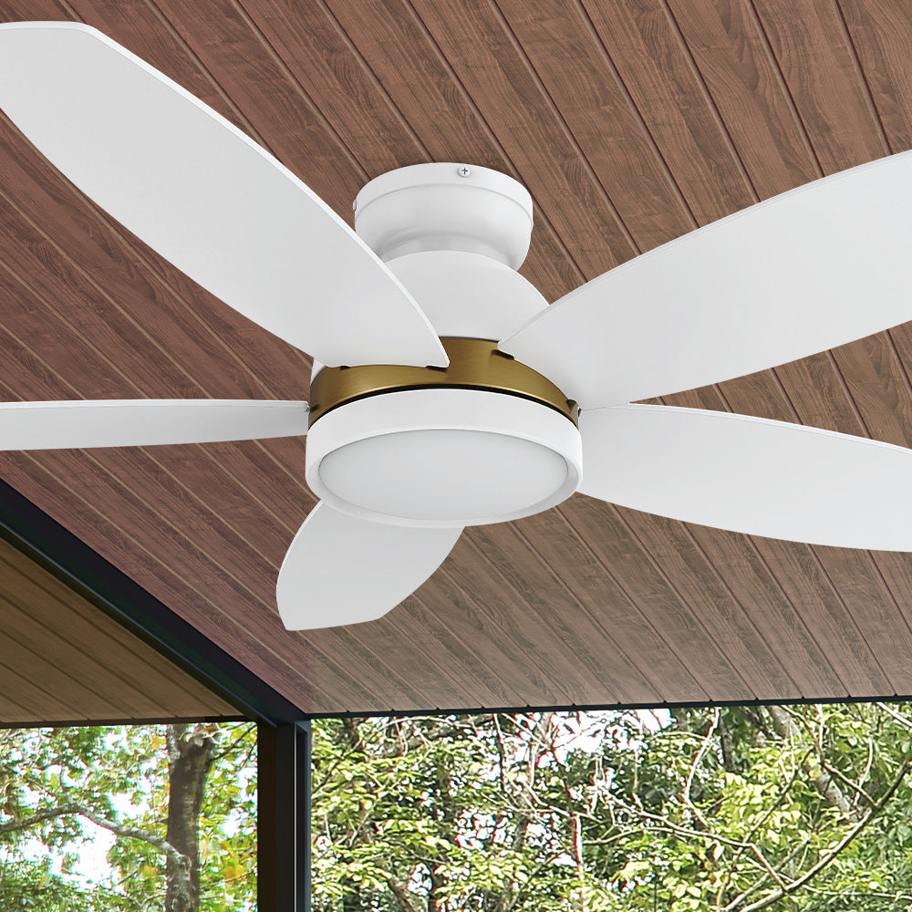 Carro Levi 48 inch smart ceiling outdoor ceiling fan features Remote control, Wi-Fi apps, Siri Shortcut and Voice control technology. 